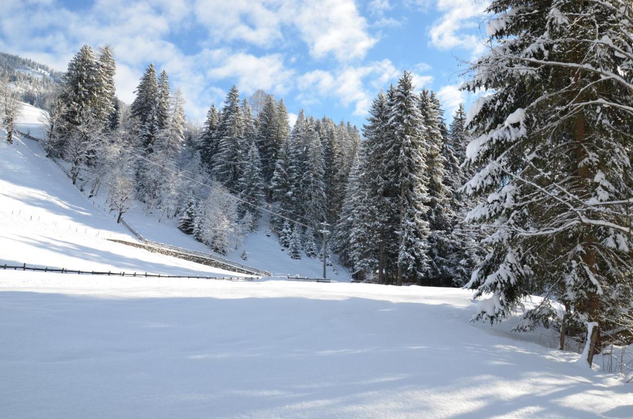 Haus Am Sunnfeld Διαμέρισμα Alpbach Εξωτερικό φωτογραφία