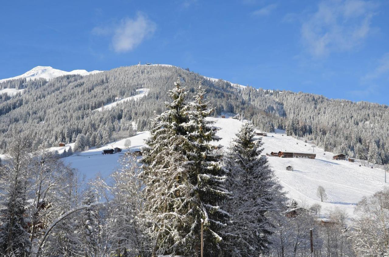 Haus Am Sunnfeld Διαμέρισμα Alpbach Εξωτερικό φωτογραφία