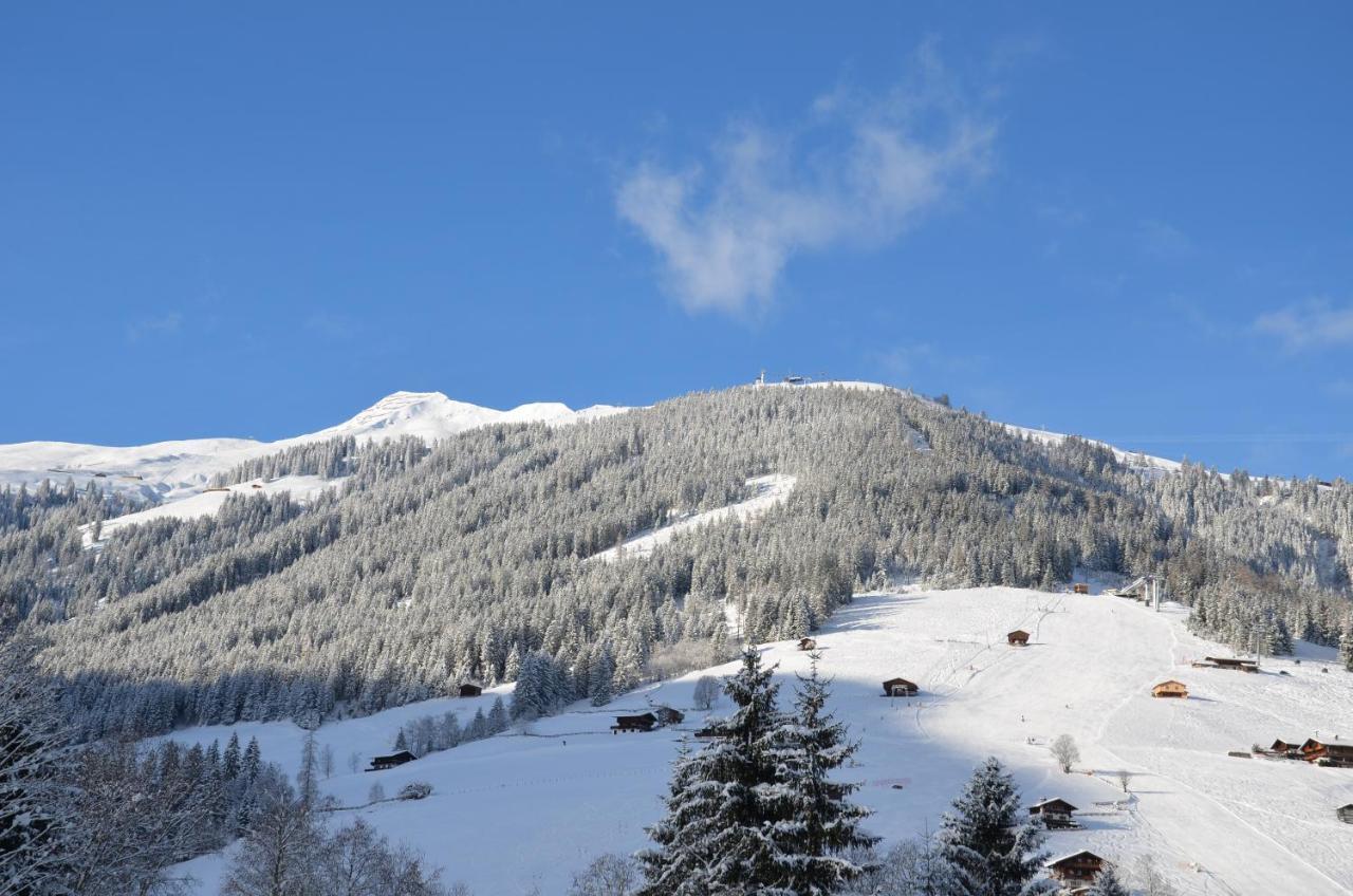 Haus Am Sunnfeld Διαμέρισμα Alpbach Εξωτερικό φωτογραφία