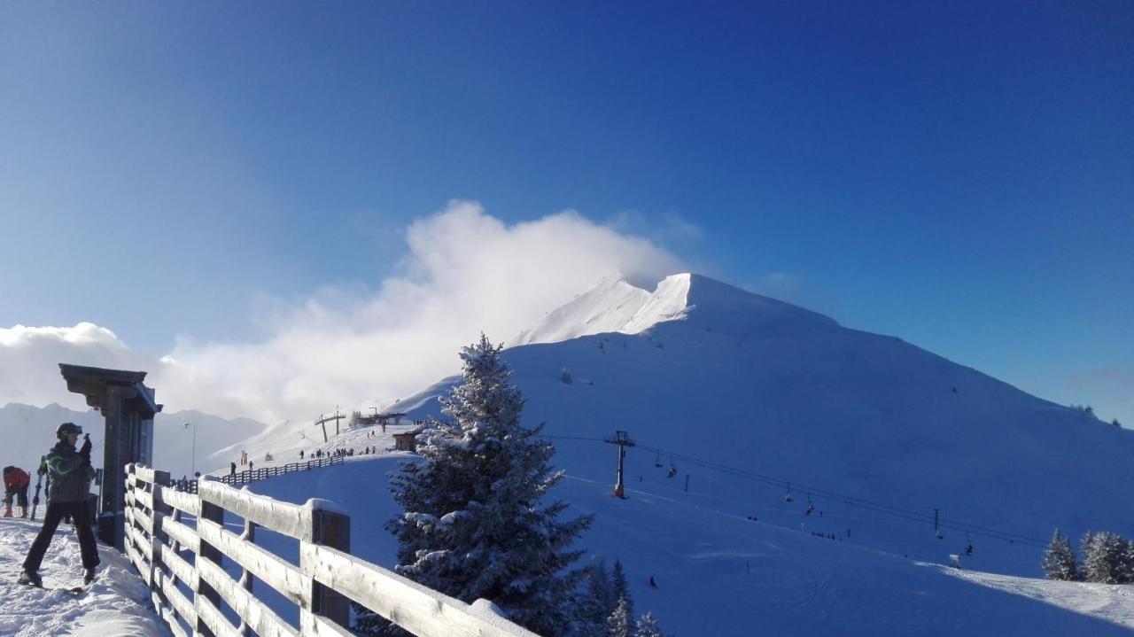 Haus Am Sunnfeld Διαμέρισμα Alpbach Εξωτερικό φωτογραφία